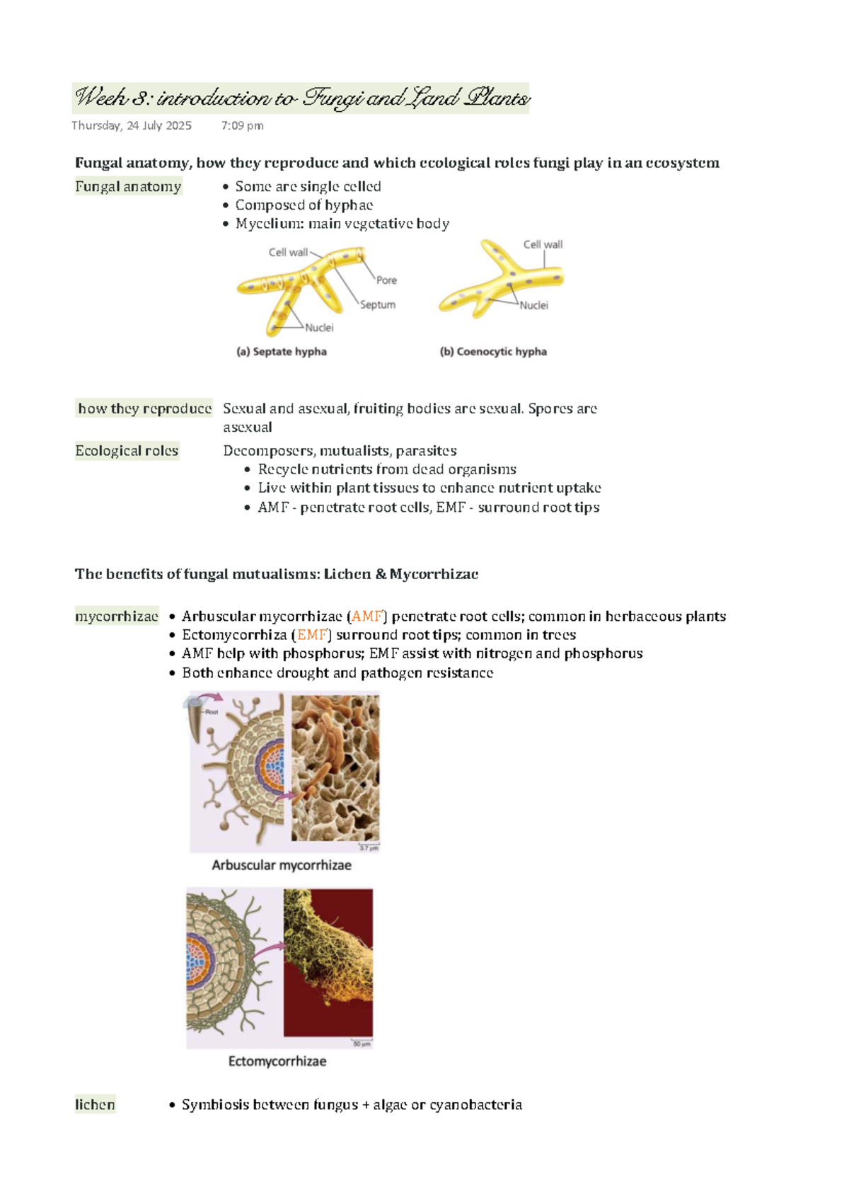 Week 3: Intro to Fungi & Land Plants - Anatomy & Ecology Insights - Studocu