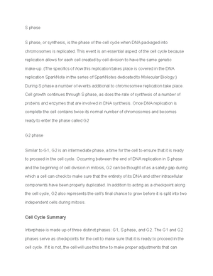 [Solved] Why is the S phase of interphase important to mitosis ...
