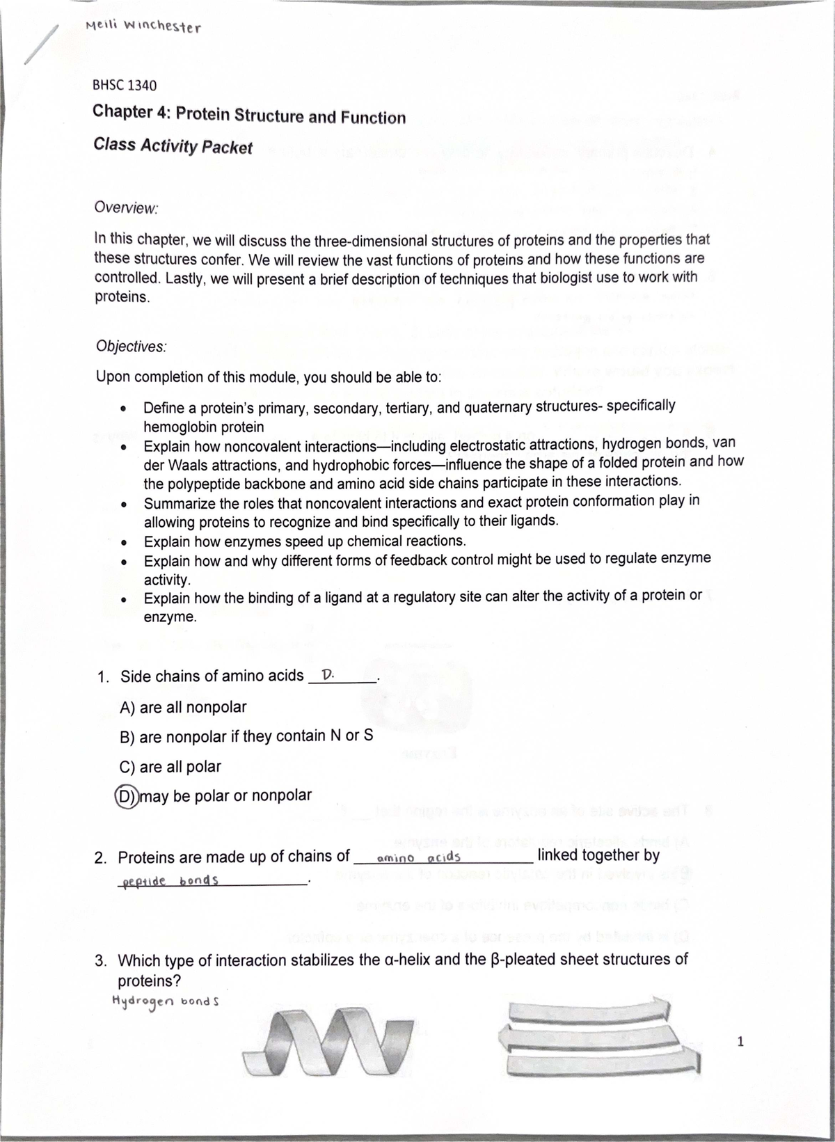 BHSC 1340 Chapter 4: Protein Structure & Function Class Activity Notes ...