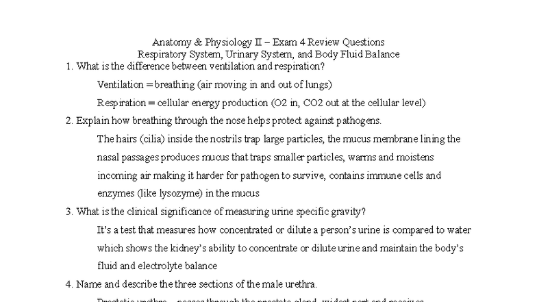 Anatomy & Physiology II – Exam 4 Review: Respiratory & Urinary Systems ...