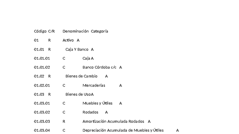 Actividad B TP N°3: Principios de la Contabilidad y Códigos de Activos ...