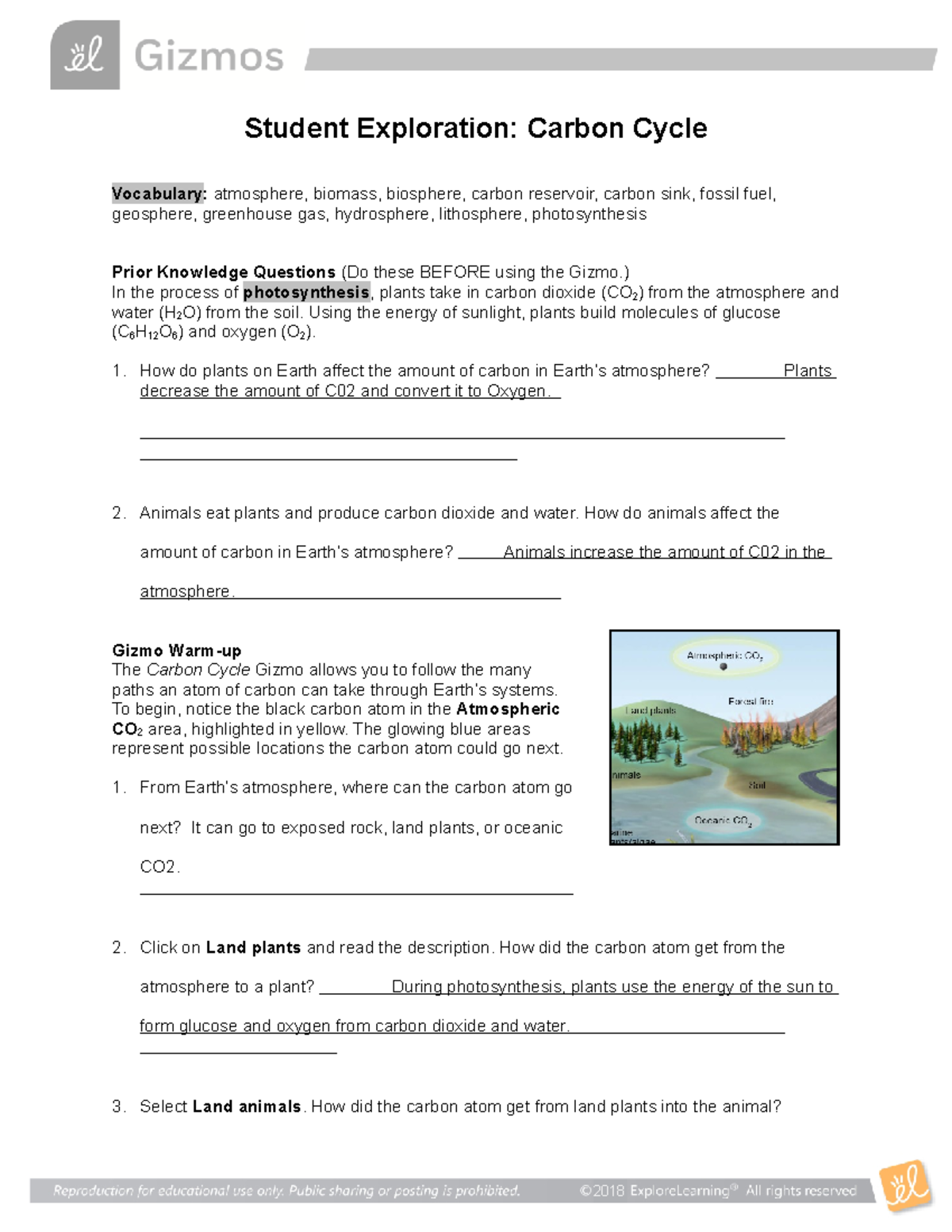 Cell Division Gizmo Worksheet Answers