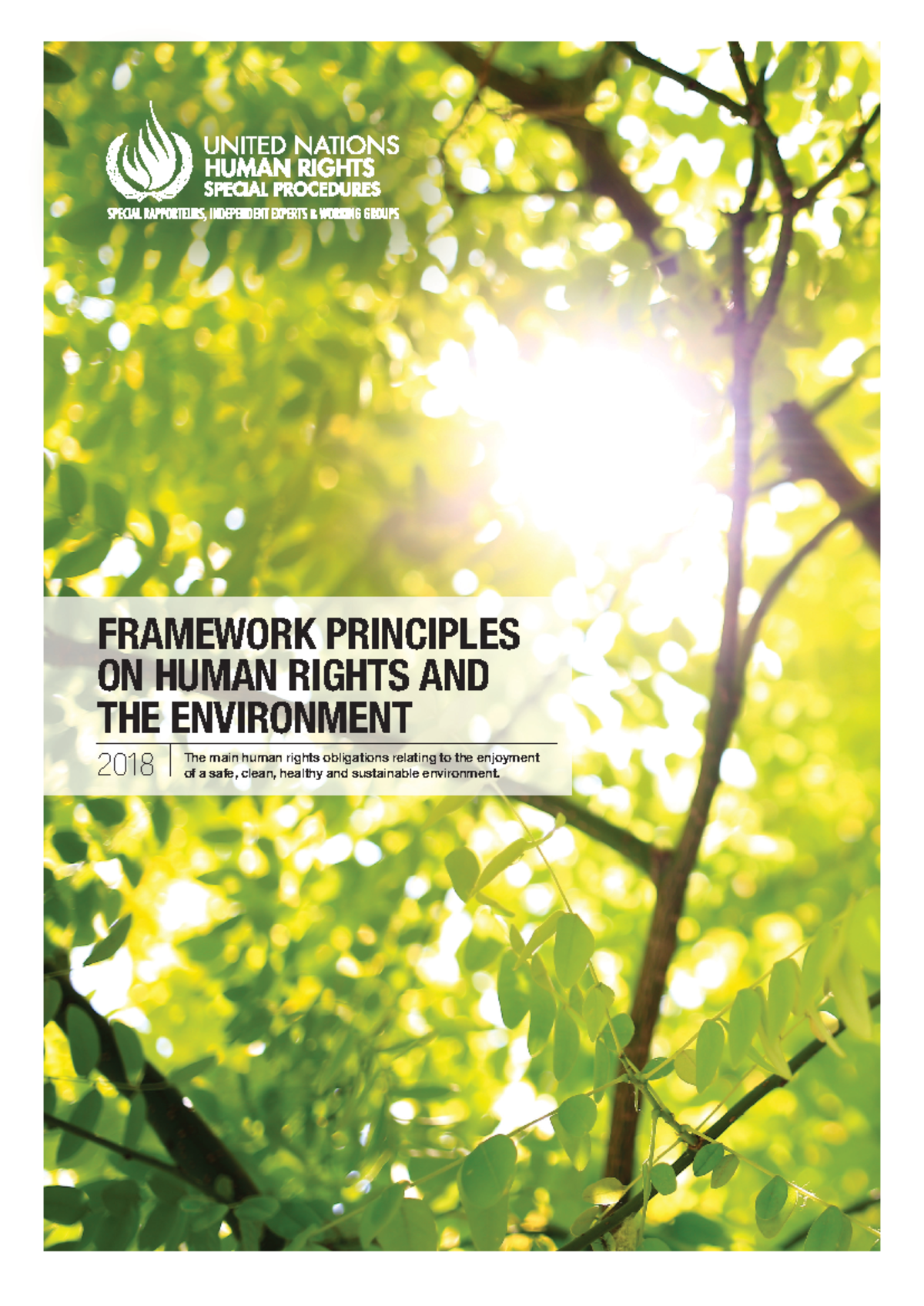Framework Principles on Human Rights & the Environment (2018) - Studocu