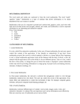 Basics of Computer Graphics and Multimedia - Studocu
