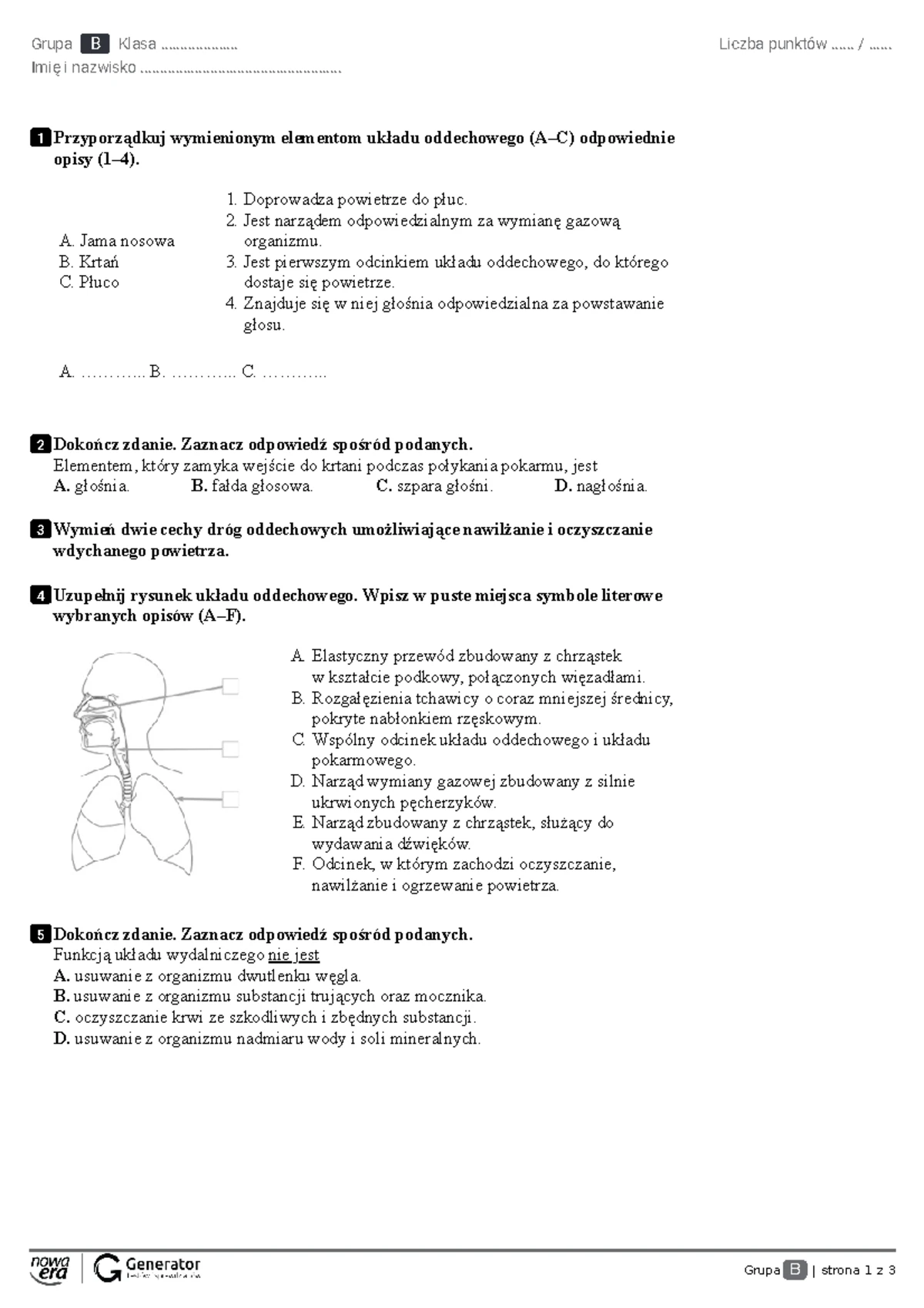 Układ Oddechowy 2 Gimnazjum Sprawdzian Spra.pl www.studocu.com