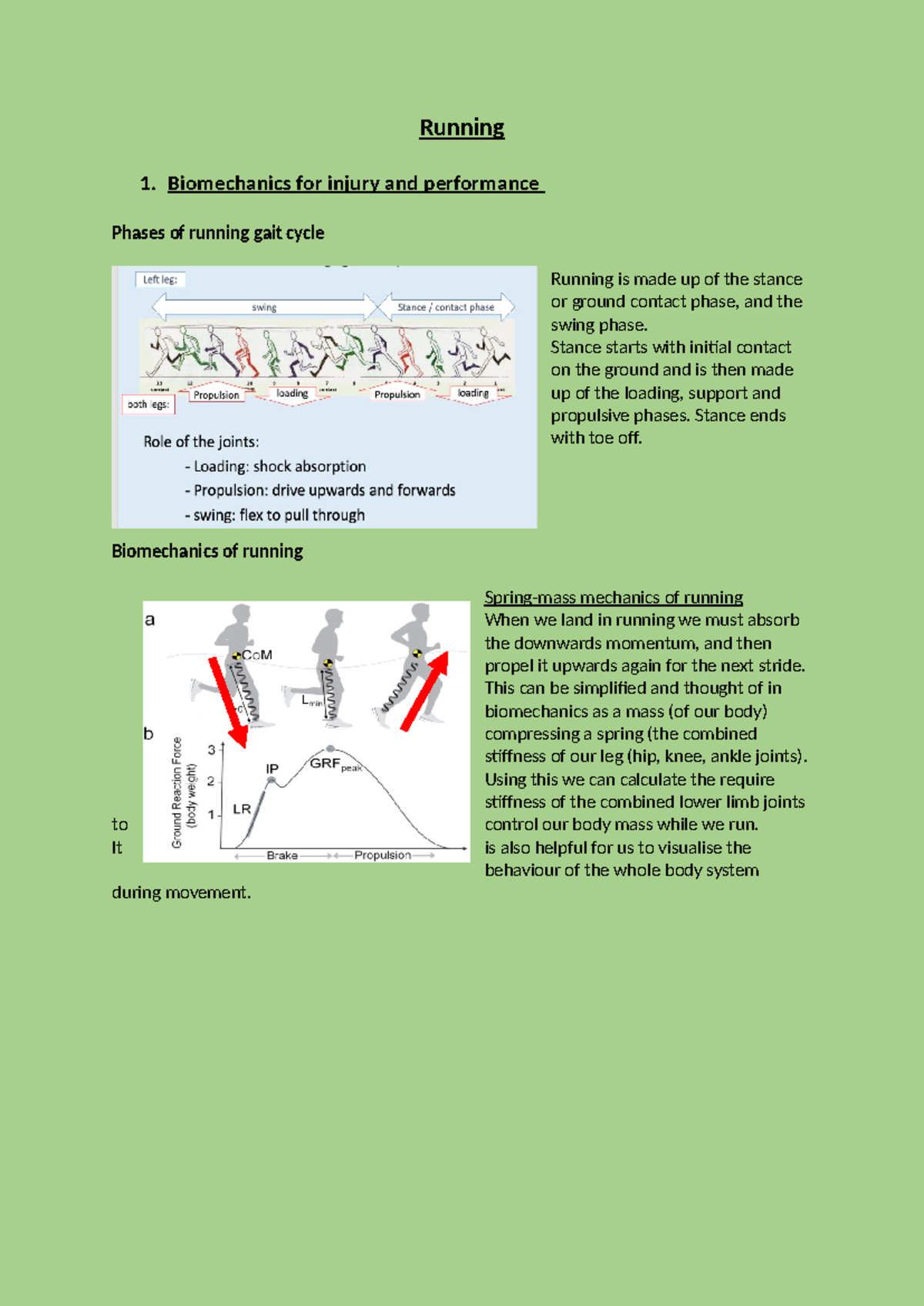 Biomechanical Principles of Running: Gait Cycle & Forces Analysis - Studocu
