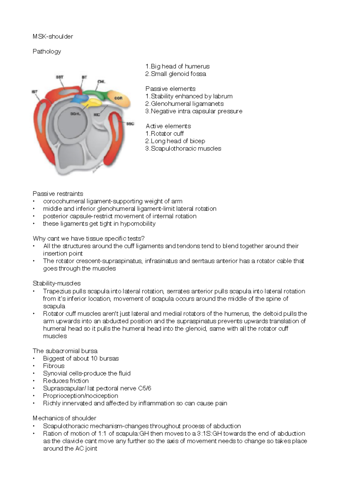 MSK II - Comprehensive Guide to Shoulder Pathology and Management - Studocu