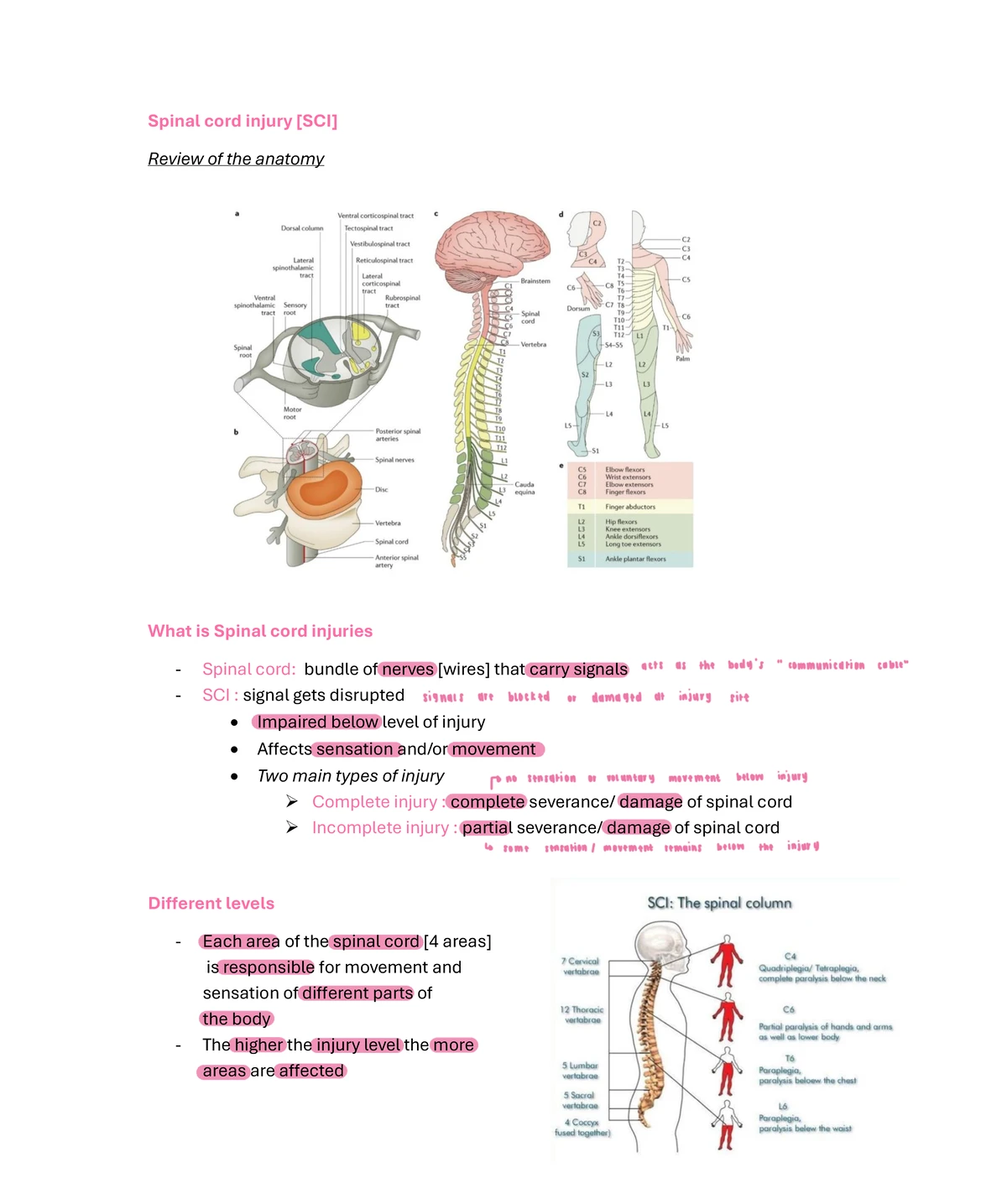 Visual Impairments: Understanding Causes, Diagnosis, and Adaptation ...
