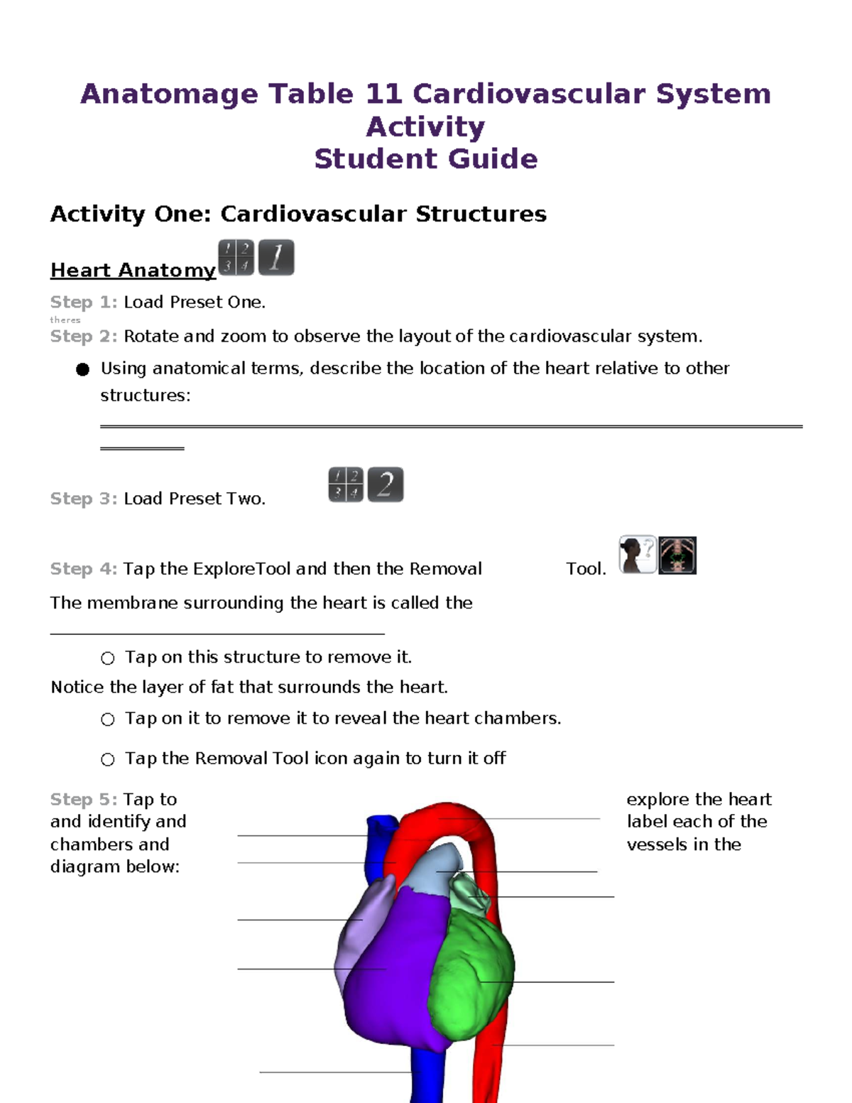Table 11 - Student Guide: Cardiovascular System Activity - Studocu