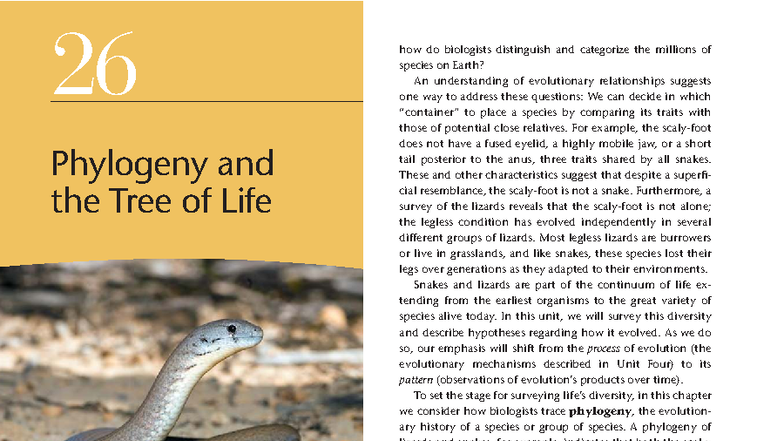 Phylogeny and the Tree of Life: Chapter 26 Notes (Campbell) - Studocu