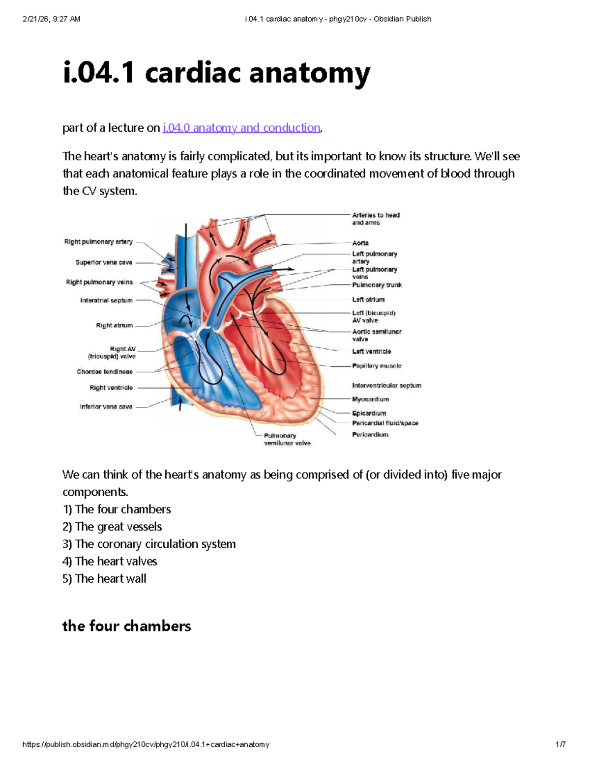 I.04.1 Cardiac Anatomy Overview - PHGY210CV Lecture Notes - Studocu