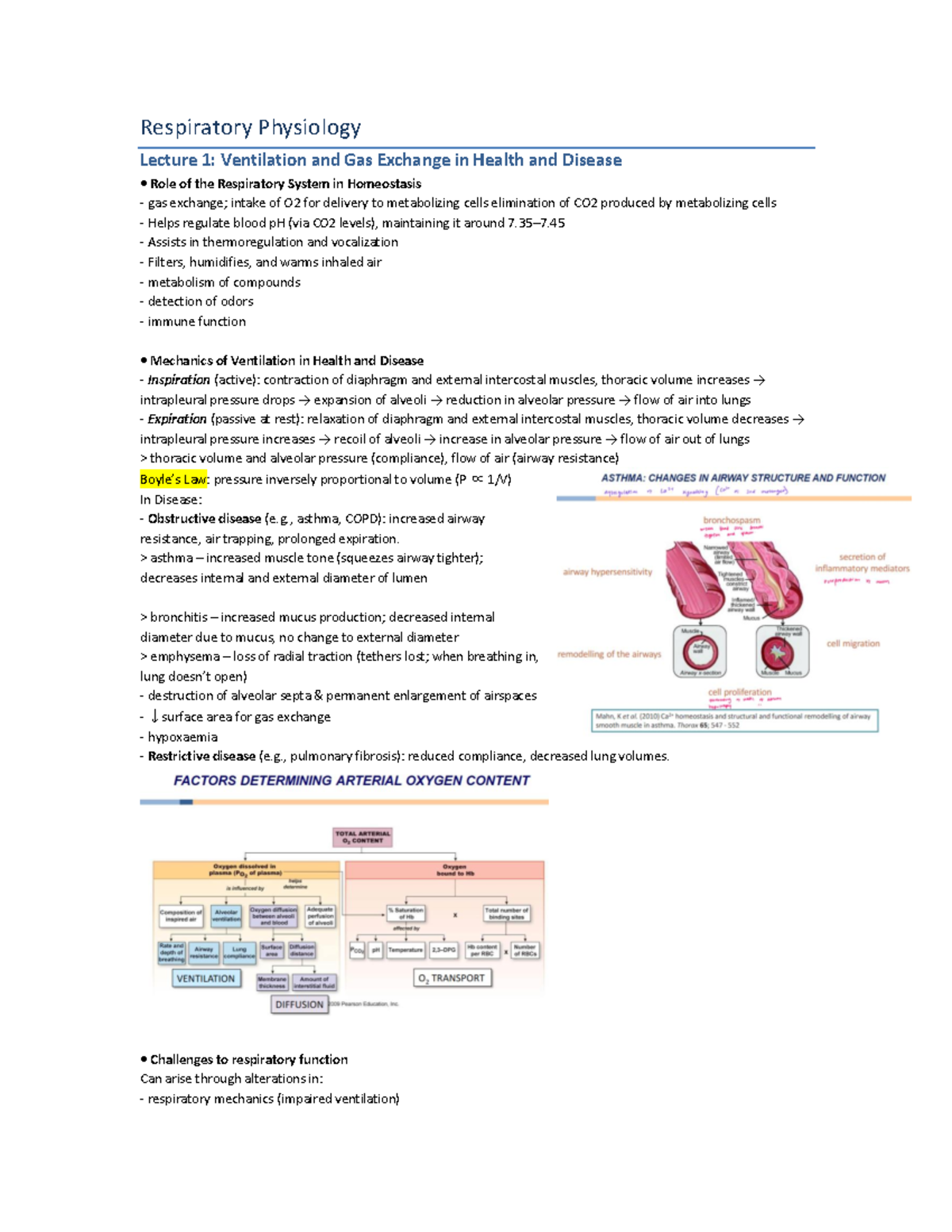 Respiratory system - lecture 1 to 4 - Respiratory Physiology Lecture 1 ...
