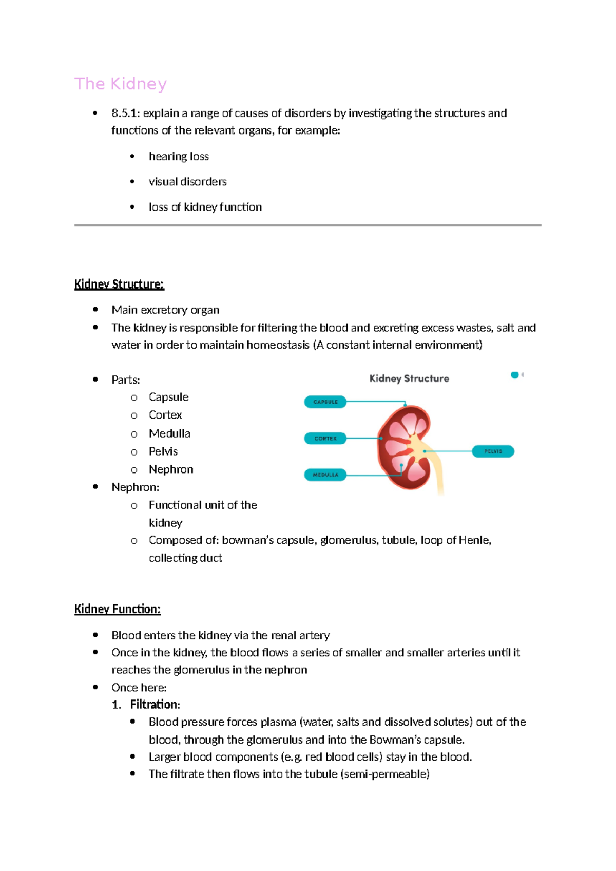 Understanding Kidney Structures, Functions, and Disorders (Bio 101 ...