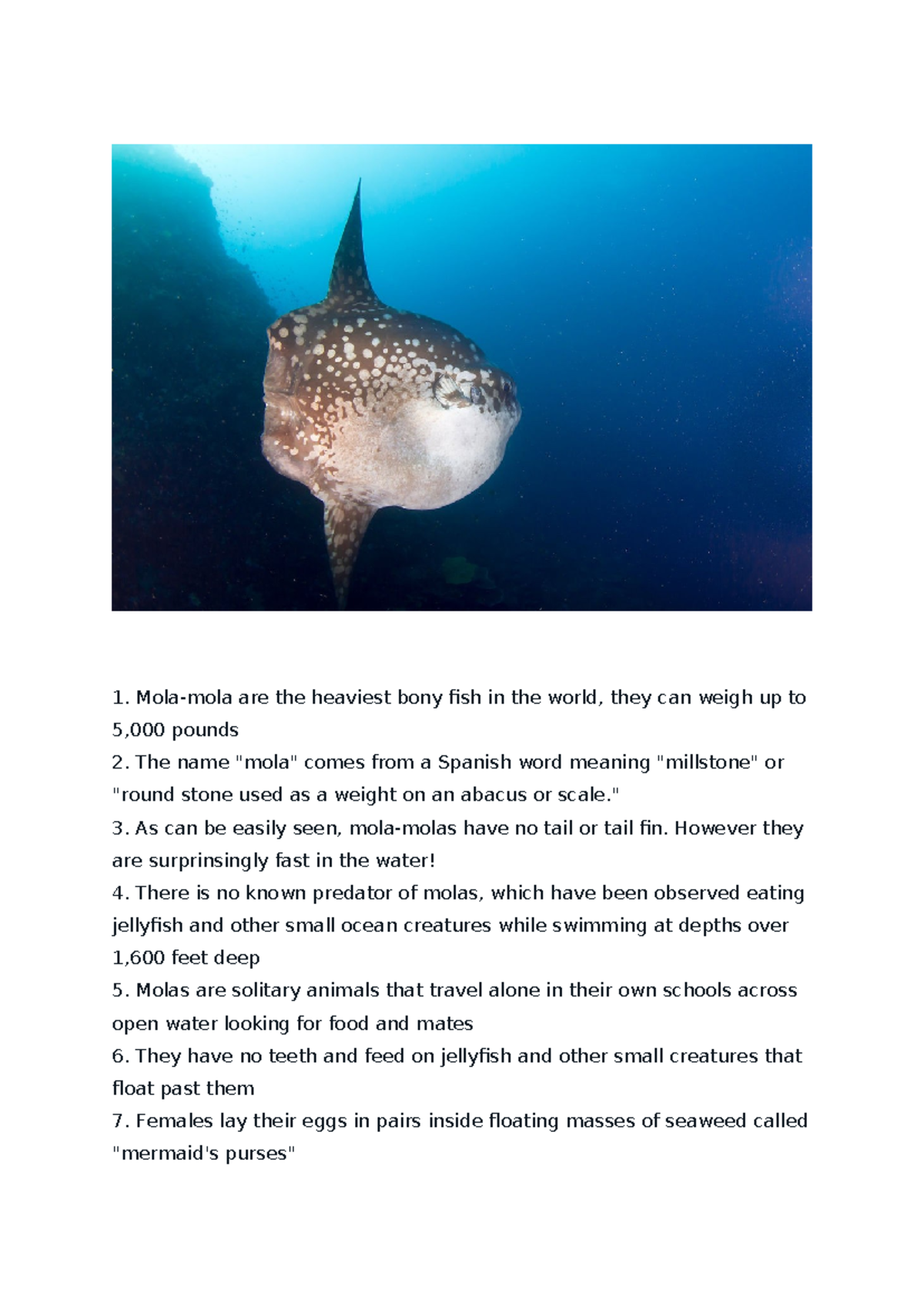 Mola Fish: An Insight into the Heaviest Bony Fish - English Essay - Studocu
