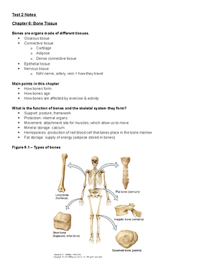 [Solved] Which cranial bone is immediately medial to the lacrimal bones ...