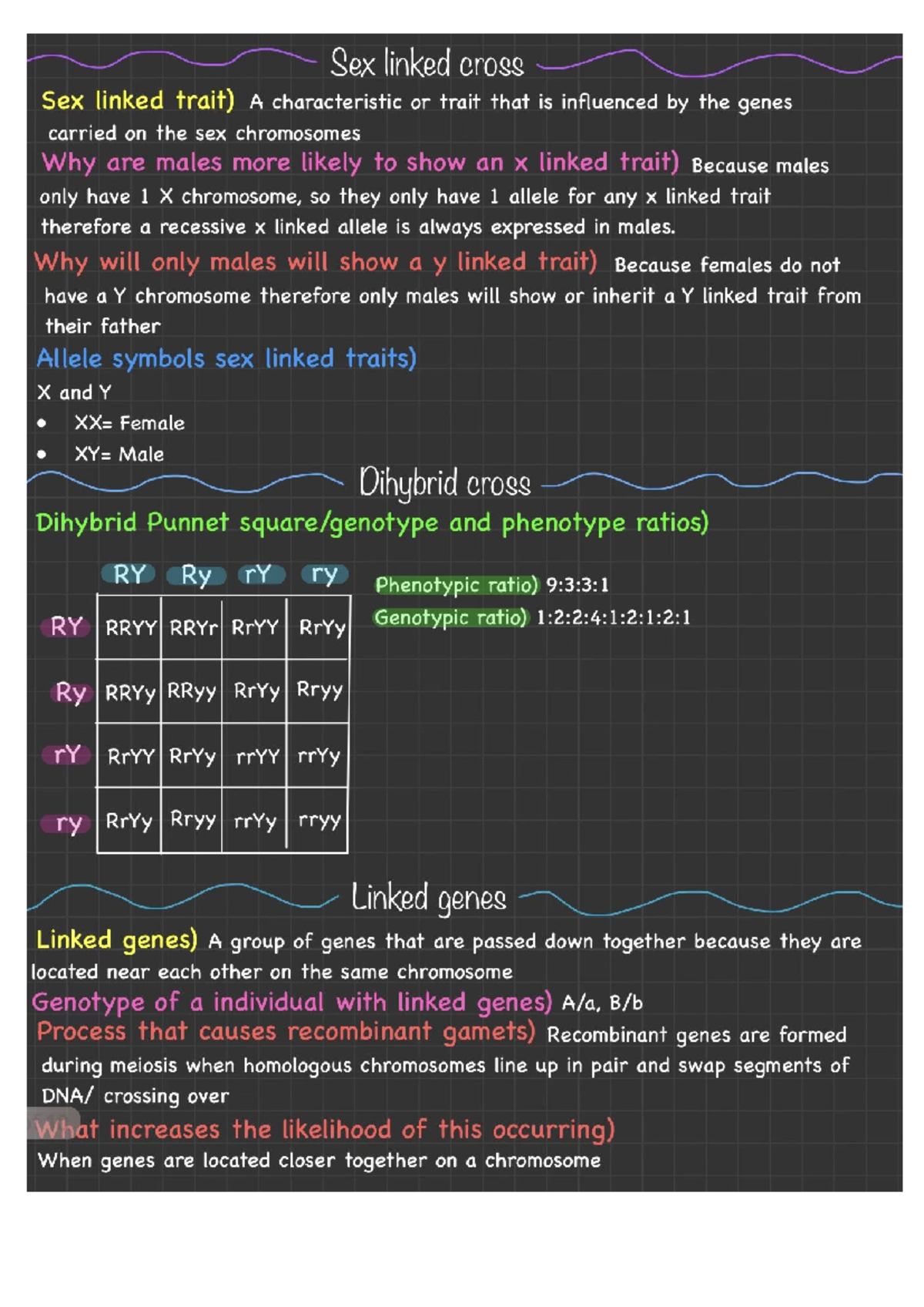 Biology Study Notes: Genetics, Cell Structure, and Function (BIO101 ...