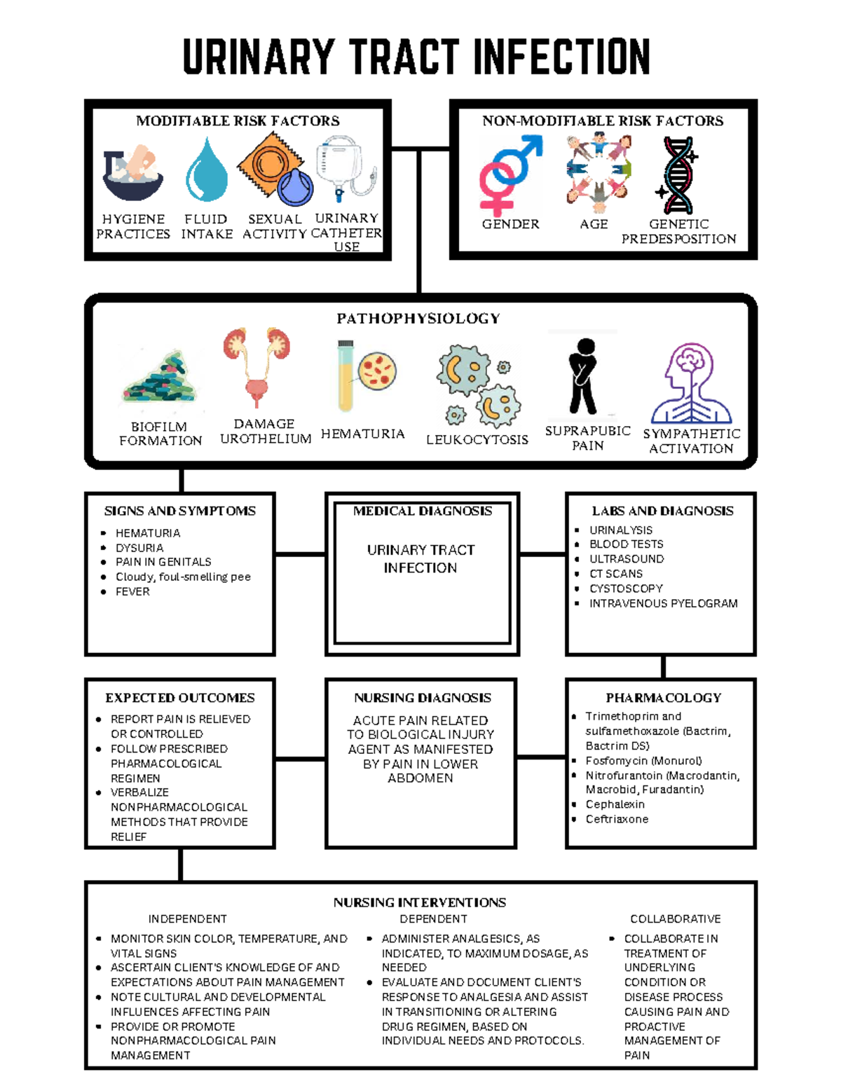 URINARY TRACT INFECTION: MODIFIABLE RISK FACTORS & NURSING ...