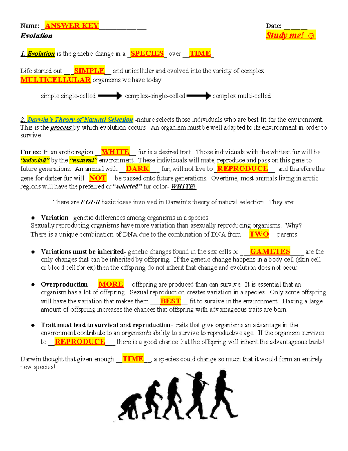 Evolution Review and Insect Resistance Practice Questions (Bio 101 ...