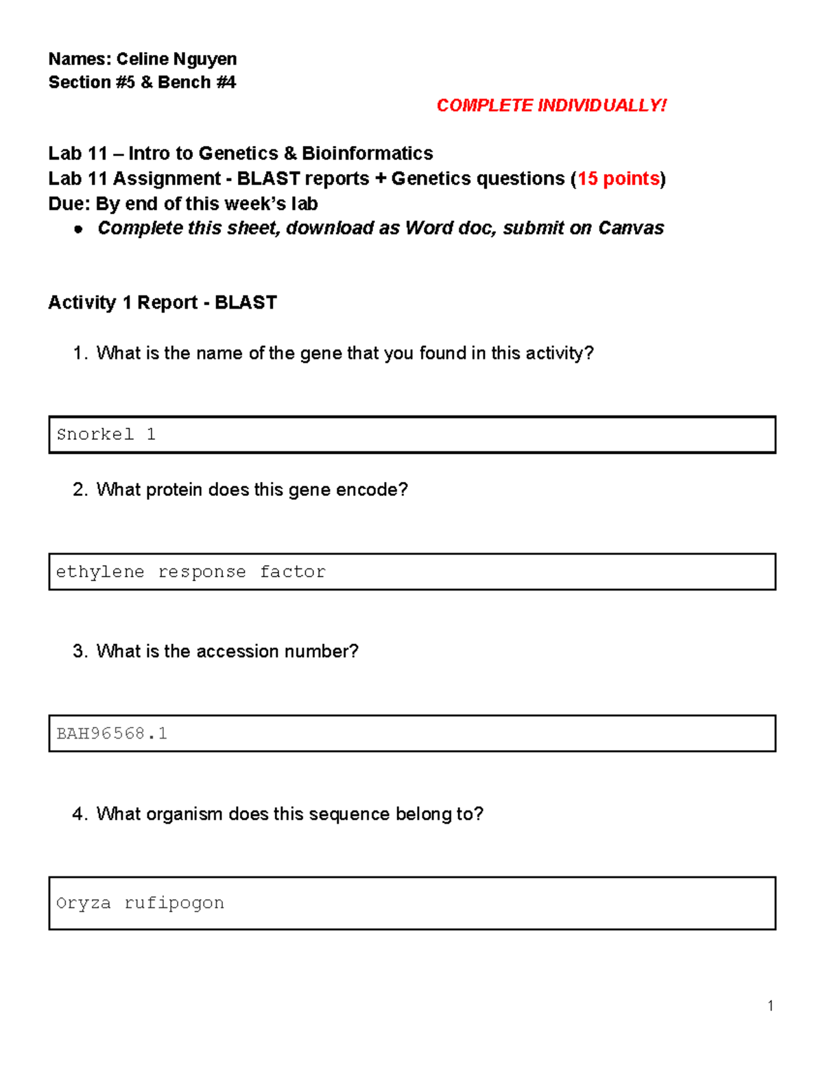 Lab 11 Assignment: Intro to Genetics & BLAST Reports - Studocu