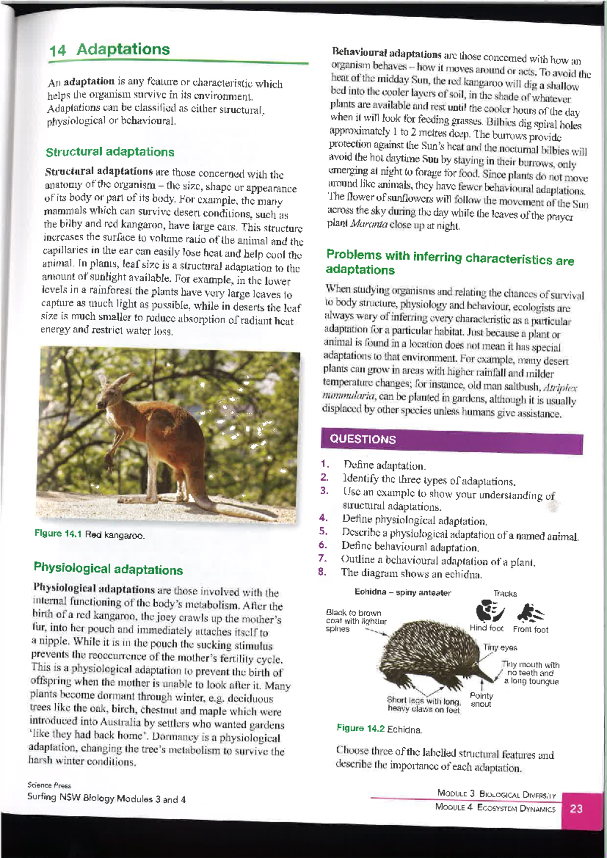 Adaptations - Comprehensive Notes on Adaptation Concepts - Studocu