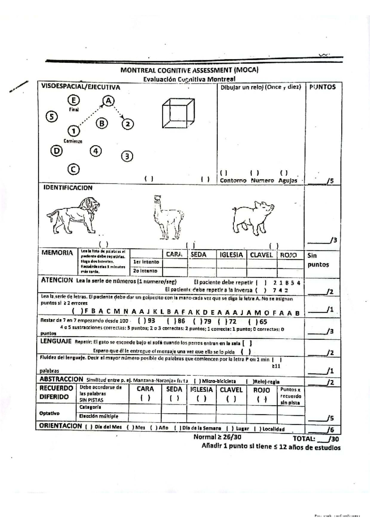 Evaluación Cognitiva: Test MOCA y Mini-Mental (Final) - Studocu