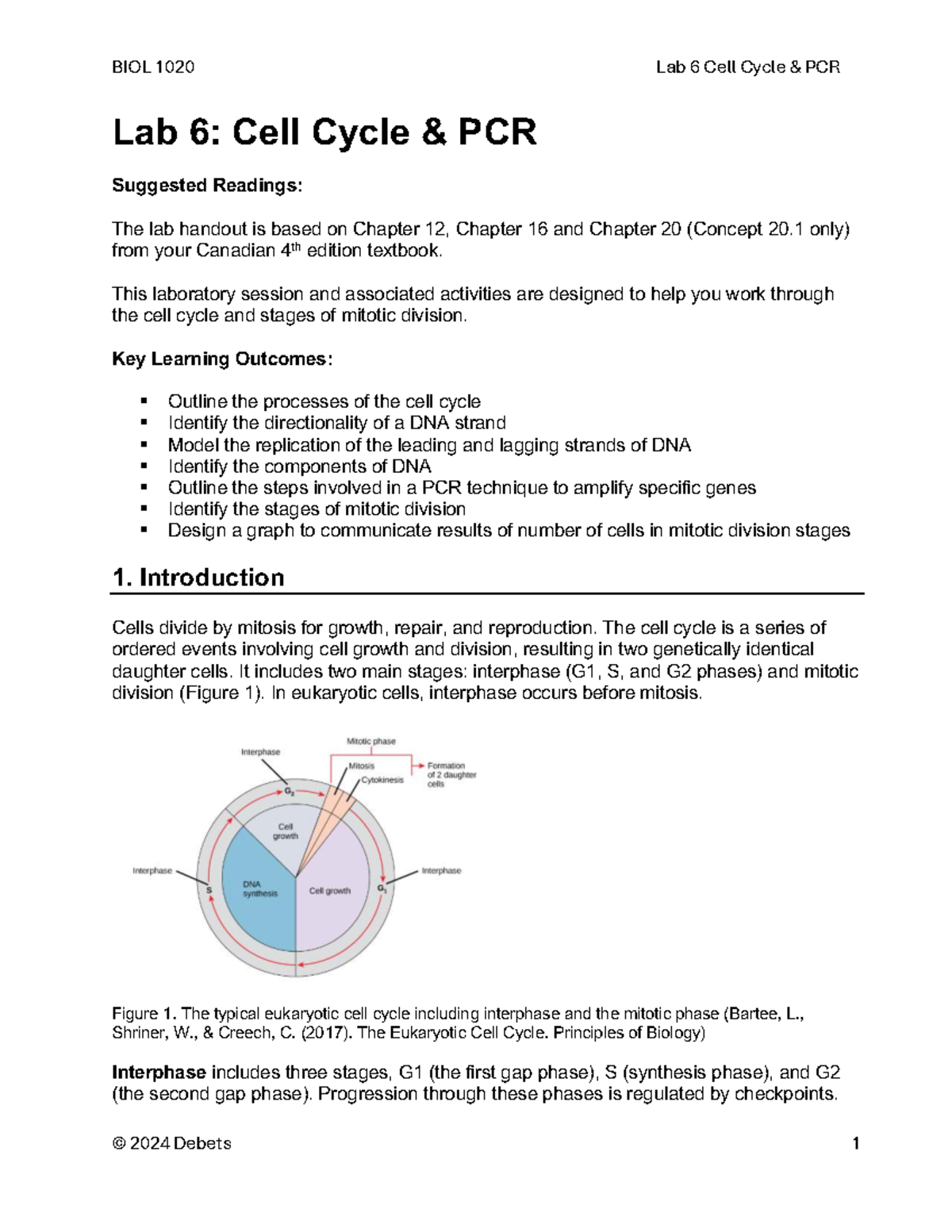 BIOL 1020 Lab 6: Cell Cycle and PCR Techniques Overview - Studocu