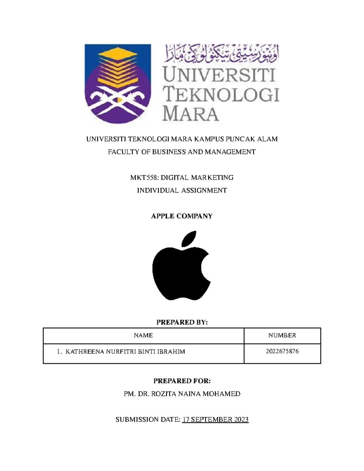 MKT558 Individual Assignment: Digital Marketing Analysis of Apple Inc ...
