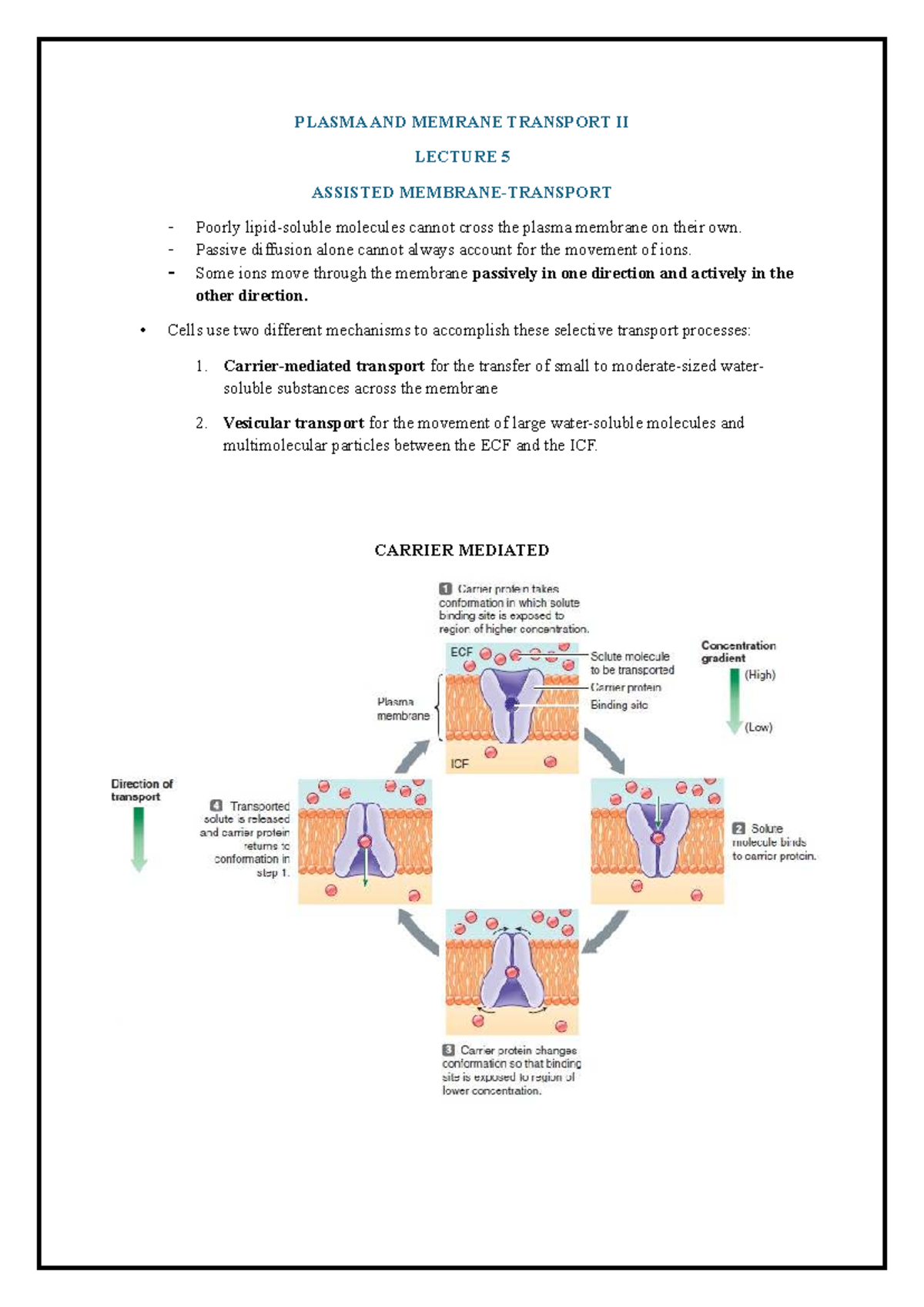 PLASMA AND MEMBRANE TRANSPORT II LECTURE 5 NOTES - Studocu