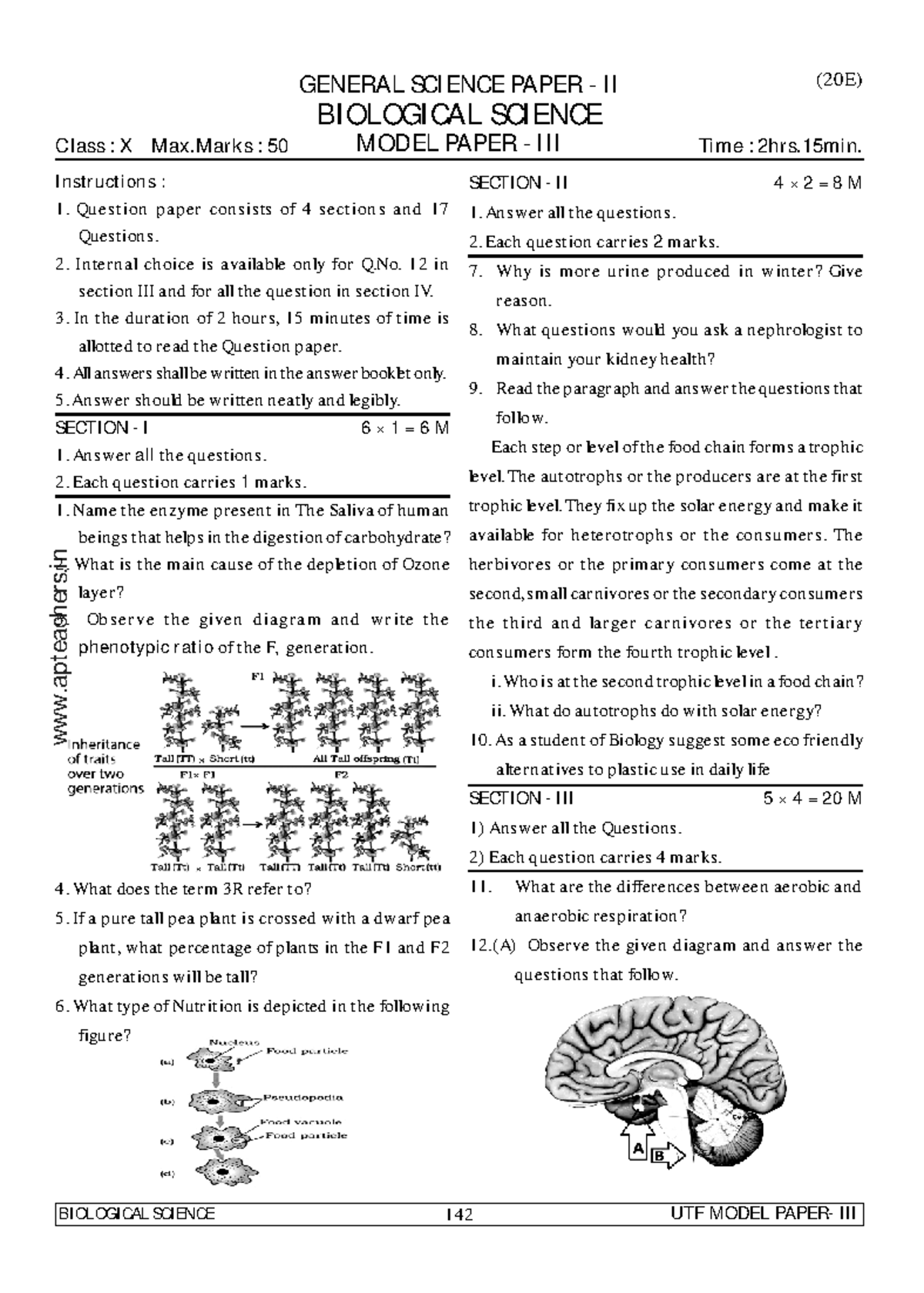 (20E) General Science Paper II: Biological Science Model Paper - Studocu
