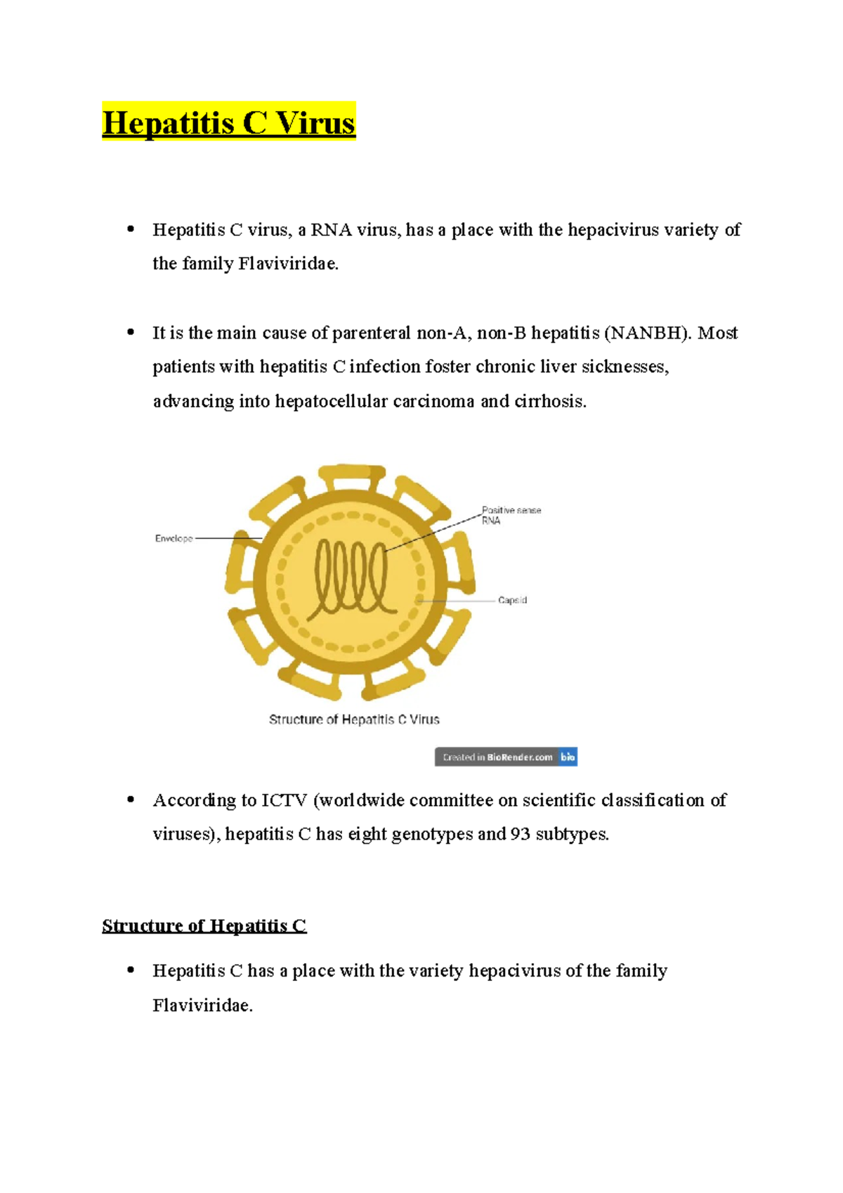 HCV (Hepatitis C Virus) - Comprehensive Informative Study Notes - Studocu