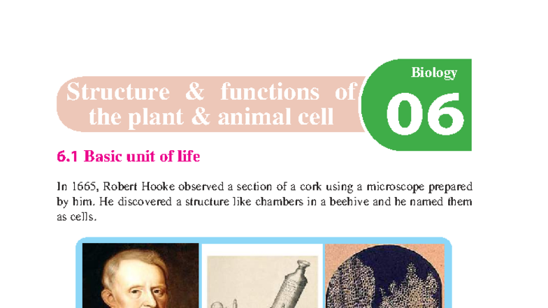 6. Structure & Functions of Plant and Animal Cells (Biology) - Studocu