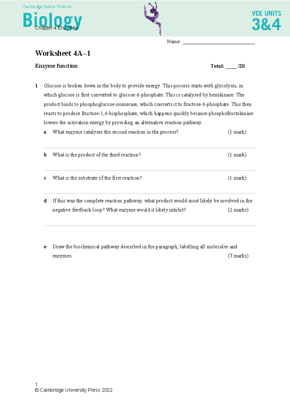 Worksheet 4A: Enzyme Function and Glycolysis Pathway Analysis - Studocu
