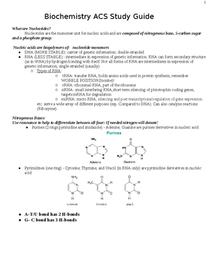 Carbohydrates-Activity - COLLEGE OF ARTS AND SCIENCES Physical Science ...