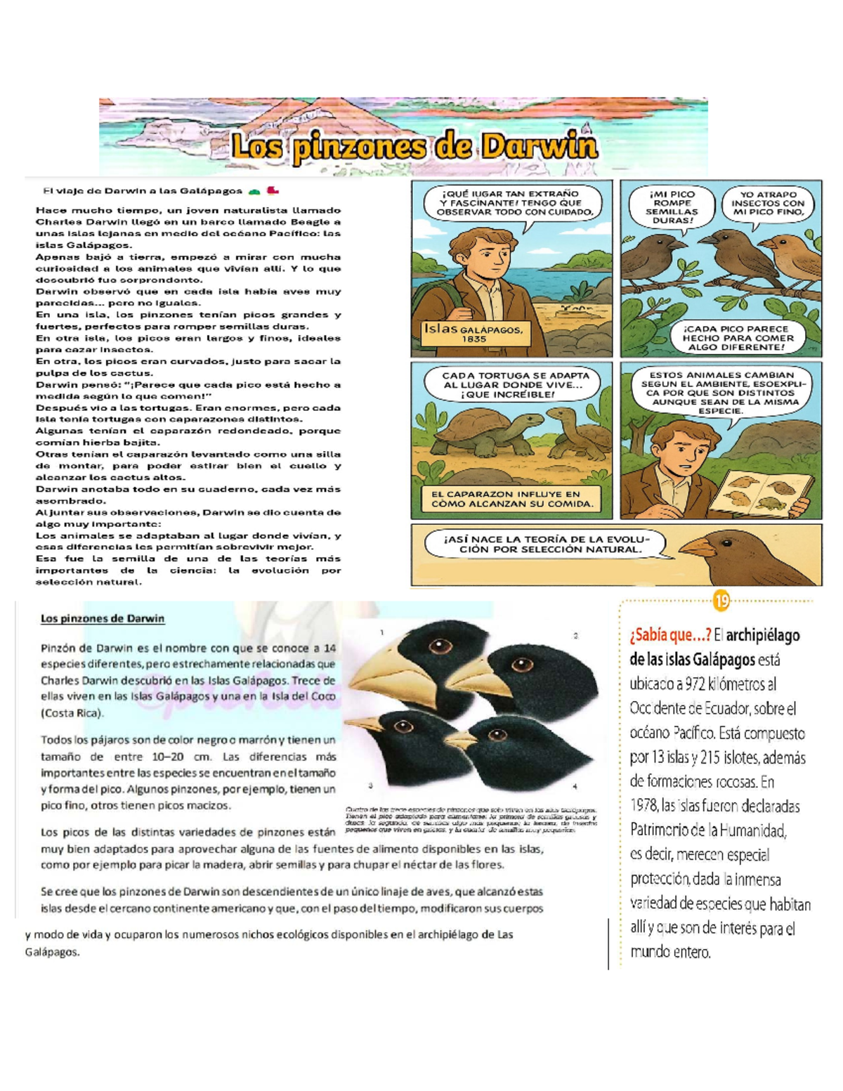 Pinzones de Darwin: Observaciones del Viaje a Galápagos 1835 - Studocu