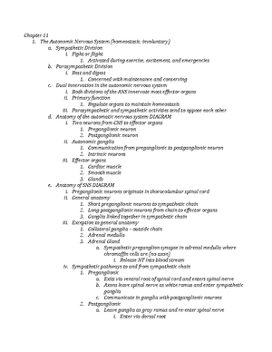 Nervous System Worksheet - Chapter 7 Study Guide - Nervous System ...