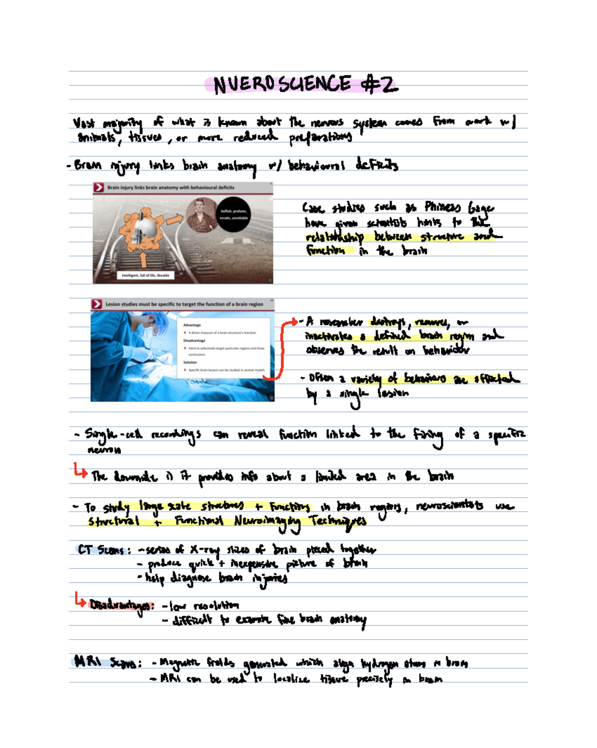 Neuroscience 2 Module Notes - NVEROSCIENCE 2 Vast majority of what is ...
