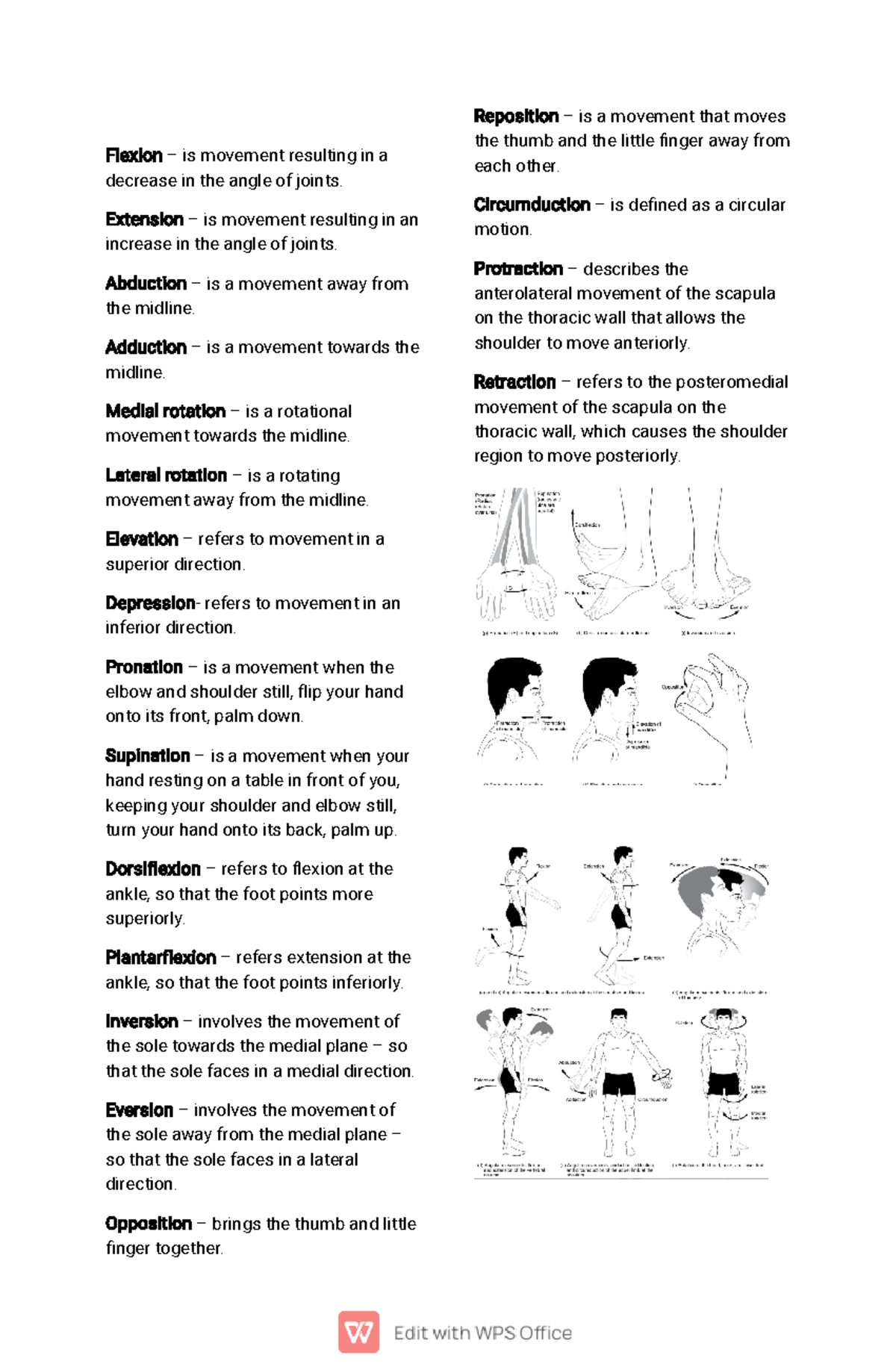 PE 101 Movement Terms and Definitions for Revision - Studocu