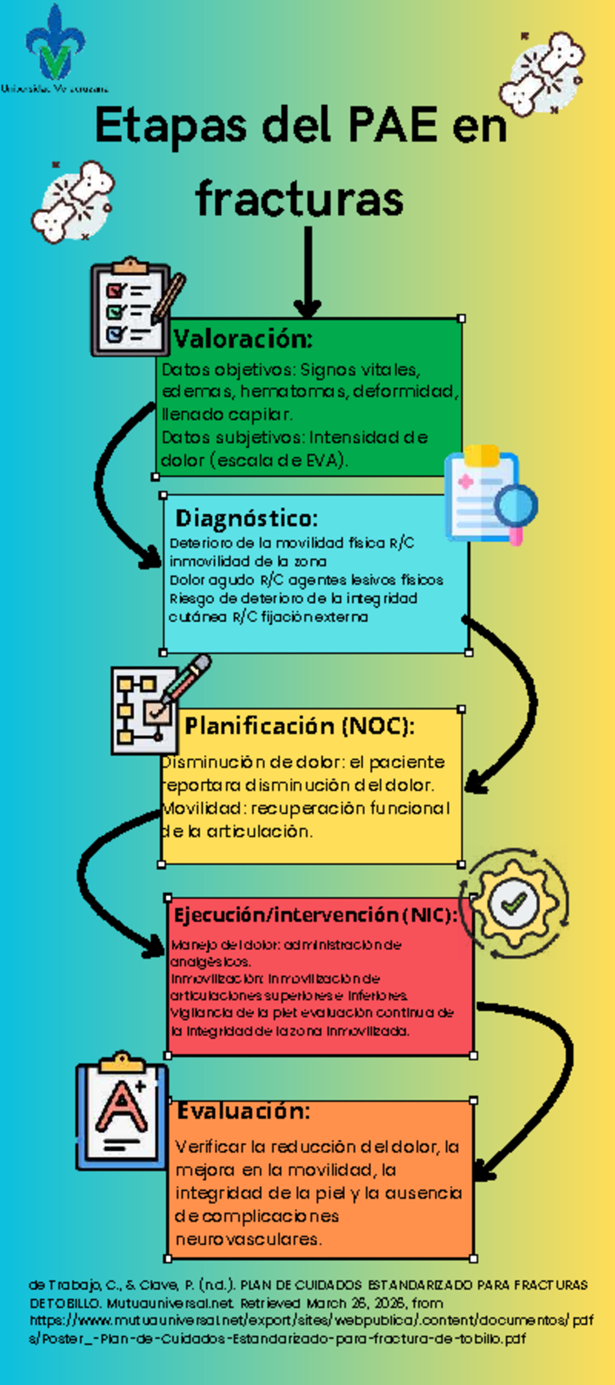 Etapas del PAE en Fracturas: Plan de Cuidados Estandarizado - Studocu
