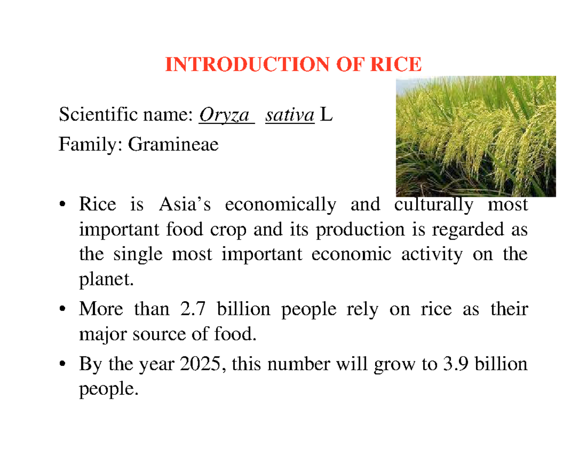 Rice: An Economic Staple Crop of Asia and Its Importance - Studocu