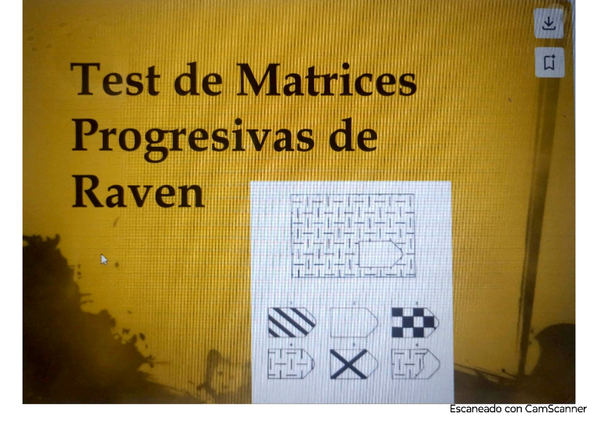Test de Matrices Progresivas de Raven: Fundamentos y Calificación - Studocu