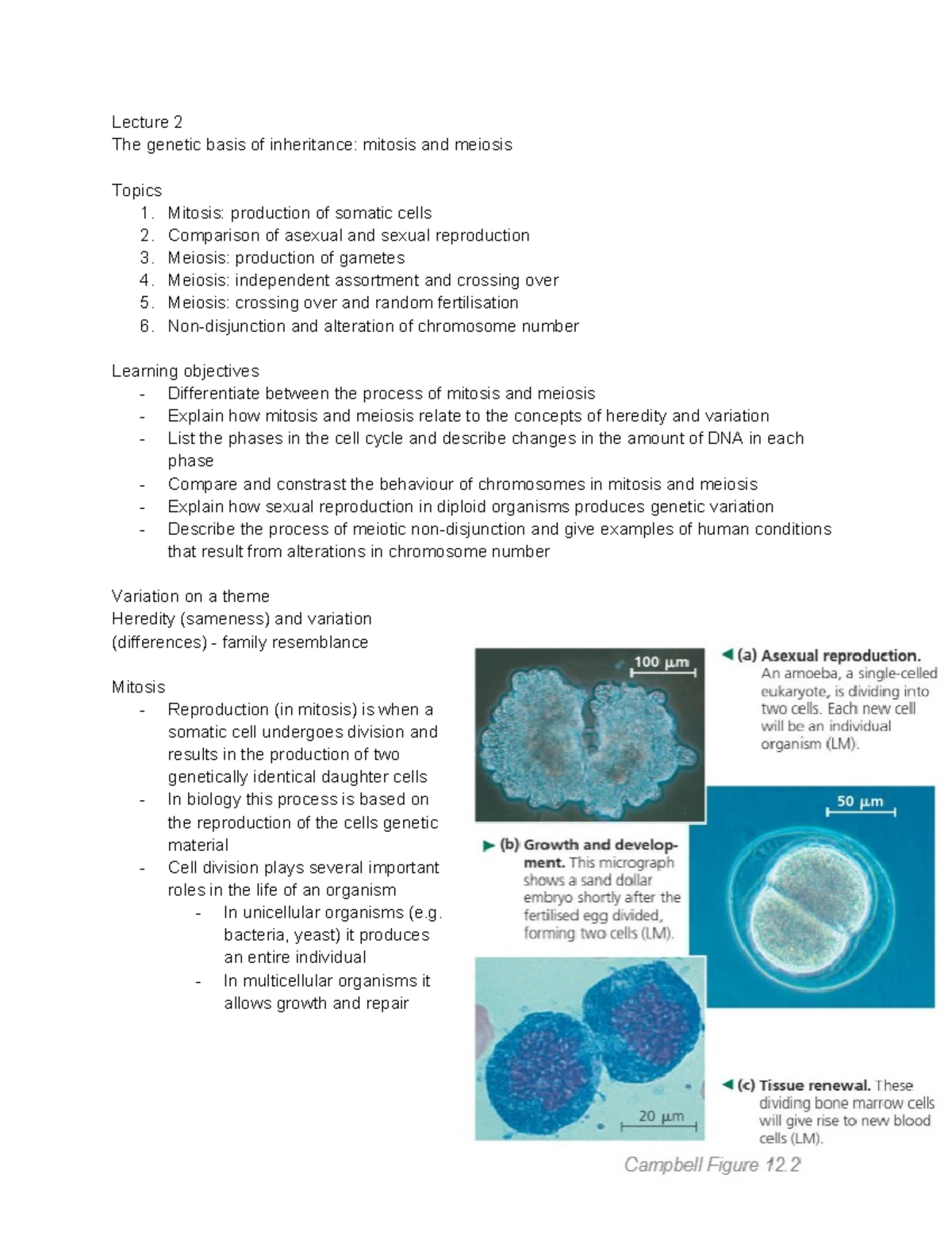 Genetics Lecture 2: Mitosis and Meiosis Overview and Key Concepts - Studocu