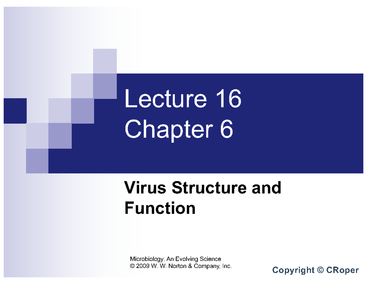 Lecture 16: Virus Structure and Function (Microbiology F24) - Lecture ...