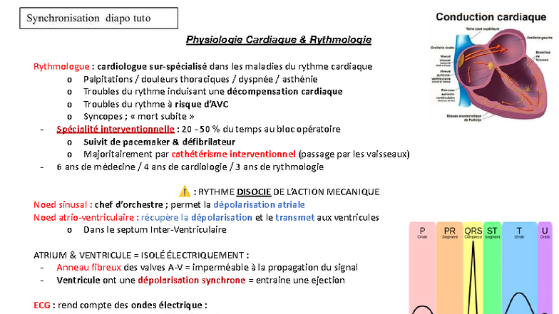 Notes de Rythmologie - Physiologie Cardiaque et Troubles du Rythme (5 ...