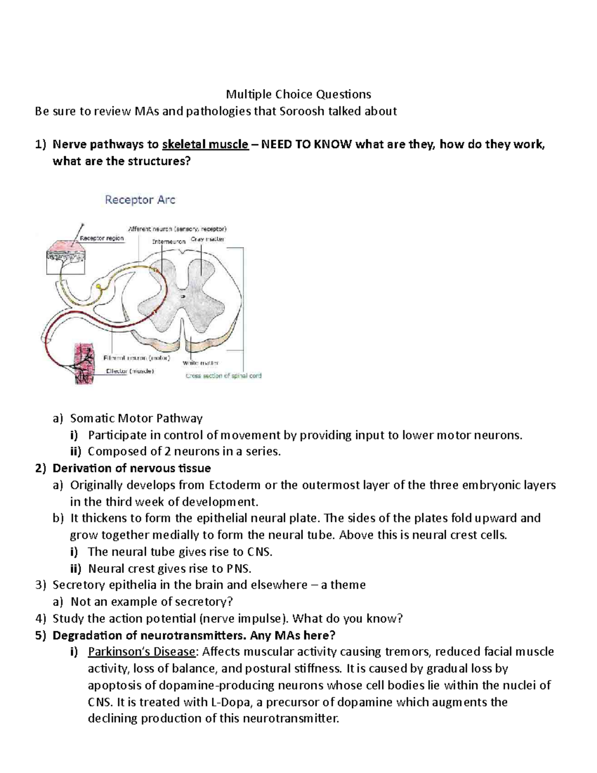 BIO446L Exam 2 Comprehensive Study Guide on Nerve Pathways and ...