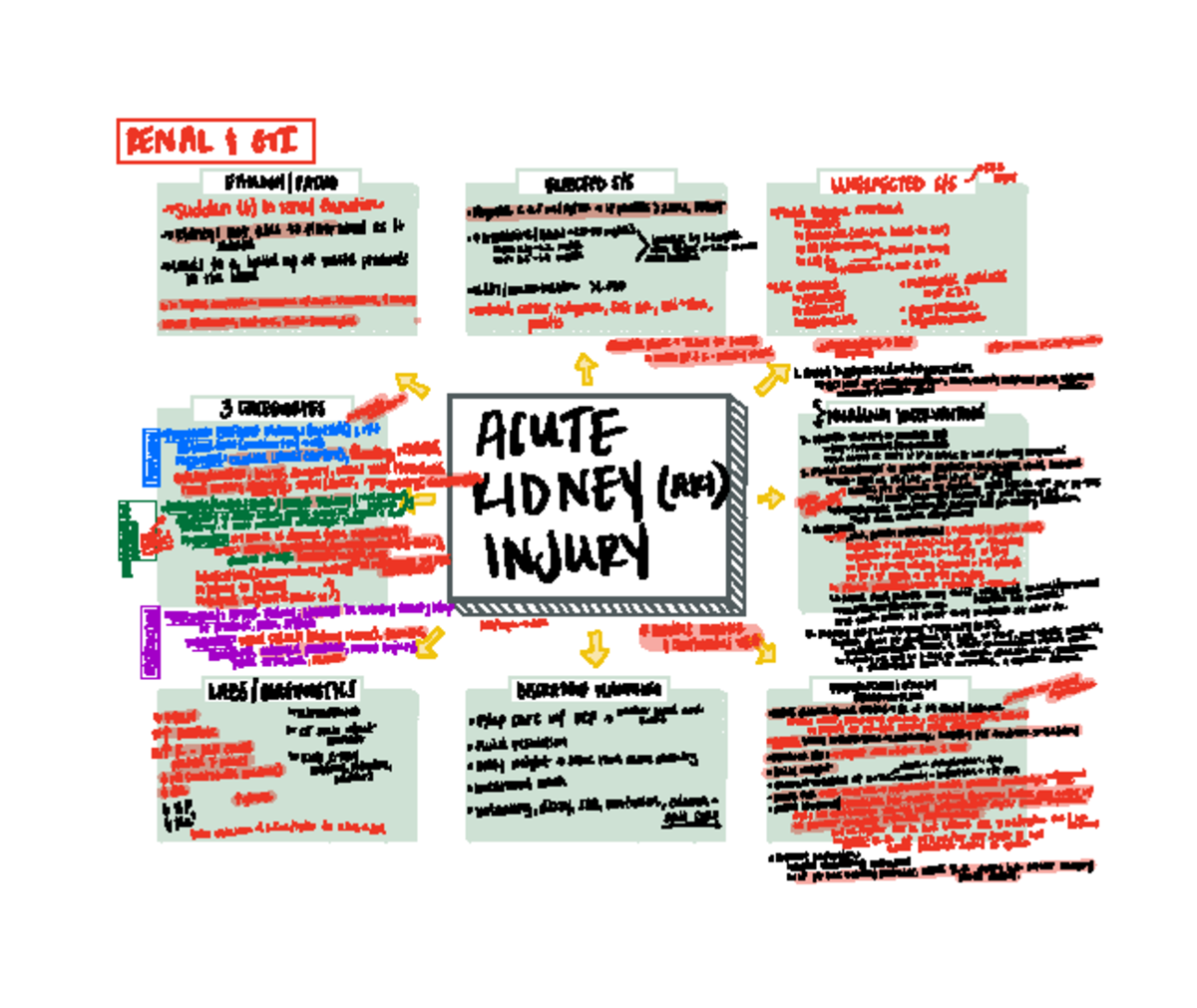 Exam 1 Concept Maps Complex Elimination Perfusion - B B A pls 8 8 ...