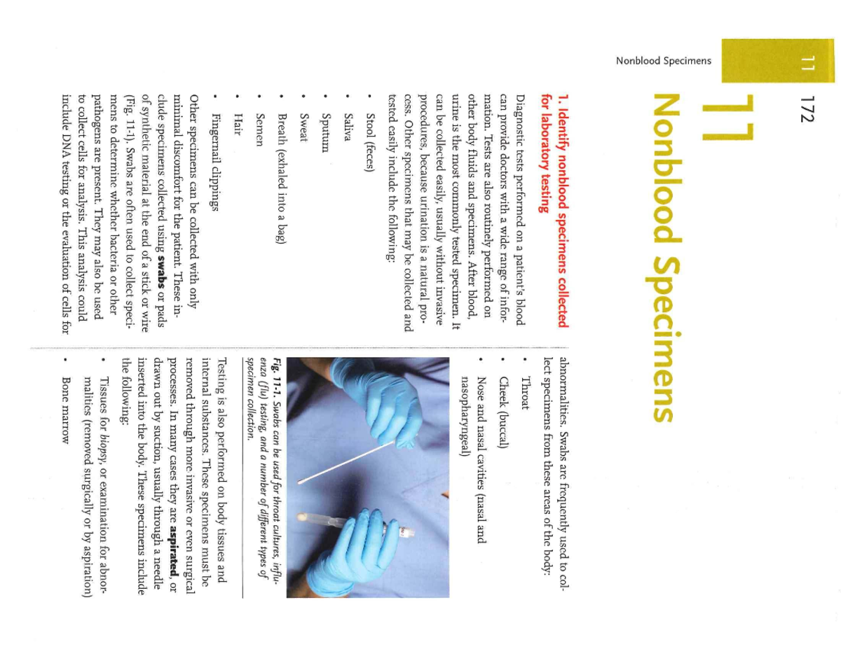 11 172 11 Nonblood Specimens: Collection and Testing Guidelines - Studocu