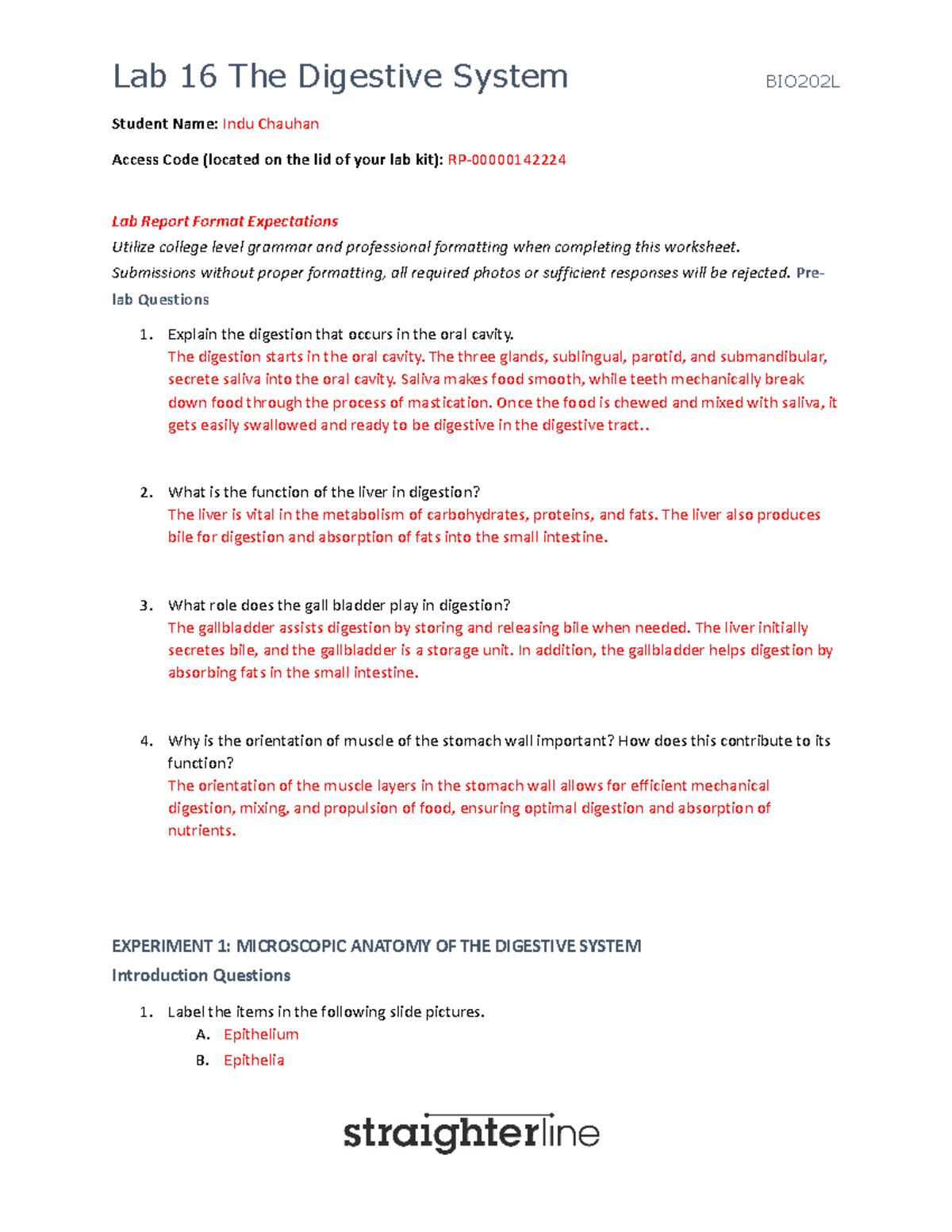 BIO202 Lab 16: Exploring the Digestive System (2023 Report) - Studocu