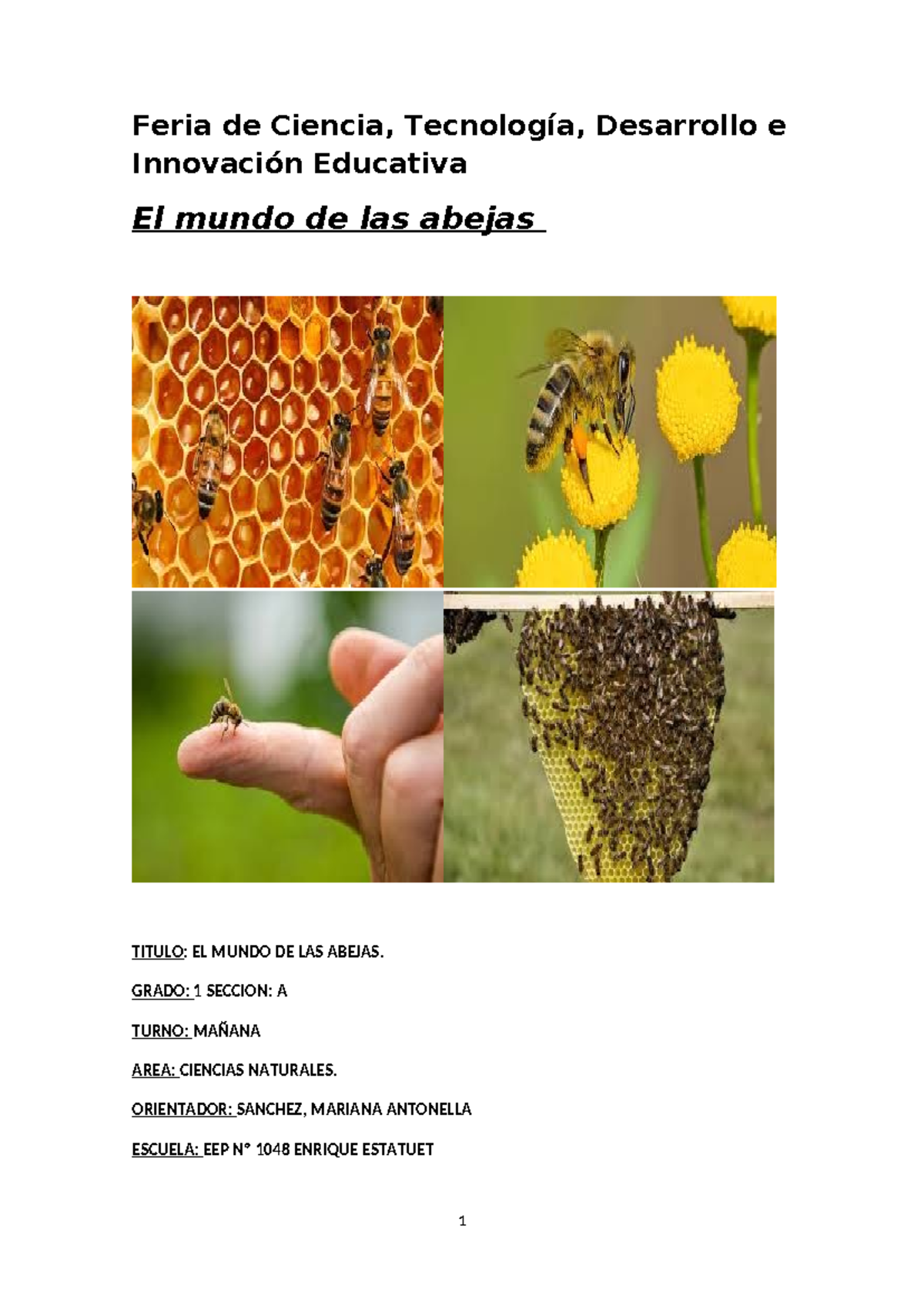 Feria de Ciencia: Proyecto sobre las Abejas - Grado 1A - Studocu