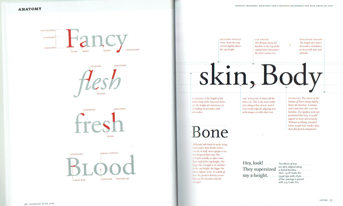 Anatomy of Typography: Understanding Typefaces and Scale in Design ...