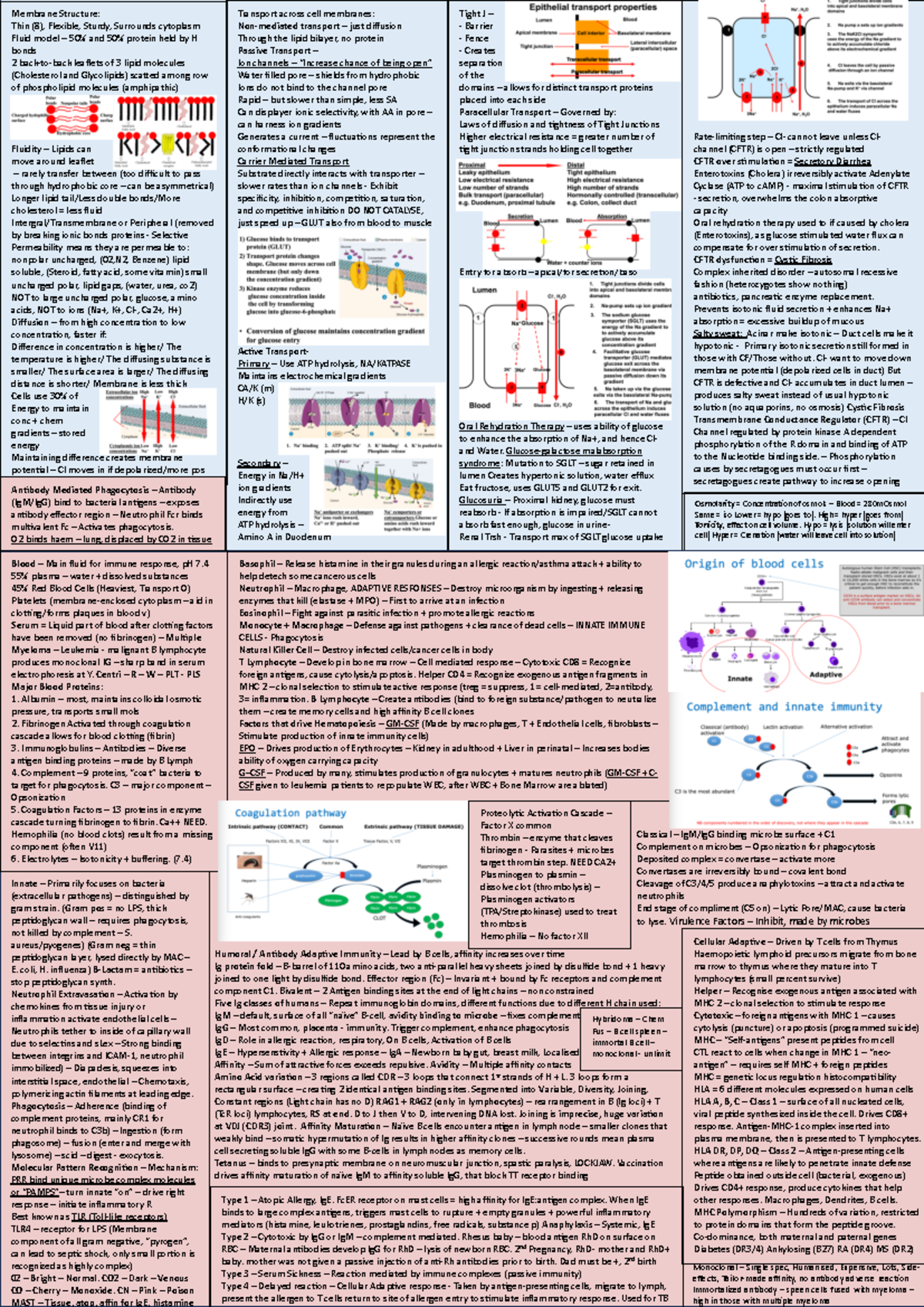 Bio Cheat Sheet - Used for the final exam! - Membrane Structure: Thin ...
